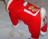 China Pet Santa Costume