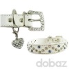 Wholesale pet products--pet leash&collar