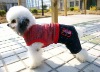 Wholesale a pet supply new arrival