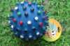 Wholesale pet supply