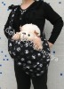 Wholesale QB11011 Pet carrier supply new fashion in 2011