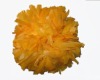 Wholesale PE/PET Cheerleader Pompoms
