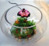 Wholesale clear bowl shape fish tank