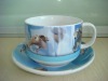 Wholesale stoneware decal soup mug