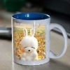 Wholesale steel travel mug/ceramic mug/glass mug/beer mug/led panel/color changing magic coffee mug/color change magic mug