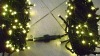Wholesale Yellow color LED light String