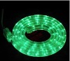 Wholesale led greencolor rope light ,30bulbs/m ,led christmas string light
