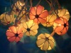 Wholesale Party string light