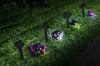High Quality Solar String Light