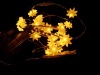 Wholesale led christmas lights wholesale RGB,