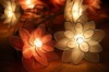 Wholesale gift light