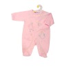 Wholesale baby rompers Embroidery Bird baby rompers