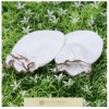 Warm and comfortable organic cotton baby hand gloves,high quality infants gloves