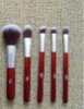 Wholesale 5pcs cosmetic makeup brush set