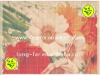 Wholesale Panda Brand printed bamboo modern placemats