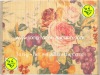 Panda Brand printed bamboo contemporary placemats