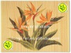Wholesale Panda Brand printing bamboo place mat