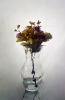 Wholesale Embossed glass vase