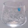 glass fish tank
