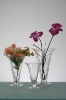 Wholesale beautiful glass flower vase in different sizes
