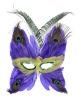 Wholesale Masquerade Feather Mask