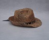fashional fedora hat