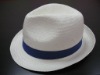 Fedora/Straw hat/Summer hat/Beach hat