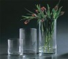 Wholesale clear glass vase for home decor(SD-V11)