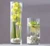 Wholesale Clear Glass Vase