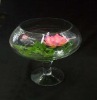 Wholesale clear glass vase for home decor(SD-V8)
