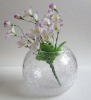 Wholesale Globular Glass Vase