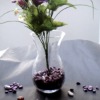 Wholesale Clear glass flower vase