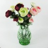 Wholesale clear glass vase for home decor(SD-V8)