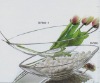 Wholesale Clear Glass Vase and Flower Glass Vase