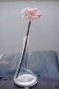 Wholesale Long necked clear glass flower vase