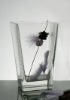 Wholesale Square V Glass Vase / Clear Glassware