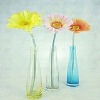 Wholesale Mouth blown glassware with different colors, smart glass vase