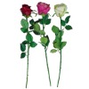 Wholesale rose BT02L56