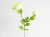 Wholesale Rose