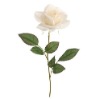 Wholesale plastic single rose ,high quality and cheap price