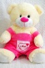 Wholesale teddy bear soft toy DOL-6443