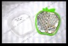 Wholesale Kitchen grater/Stainless steel grater