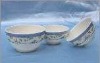 New product Elegant decaled porcelain bowl,ceramic bowl