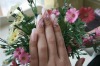Wholesale artificial fingernails OVAL LUXURY NAIL