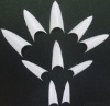 Wholesale Artificial Art Nail tips