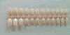 Wholesale 24 pcs Designed Nail Tip