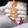 Wholesale pillow/pillow case/bedding set