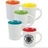 Wholesale 2011 ublimation Citrus Mug cup