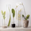 Wholesale Tall Cylinder Glass Vase