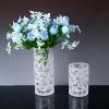 Wholesale Cylinder glass vase with blow-sand design for home decor